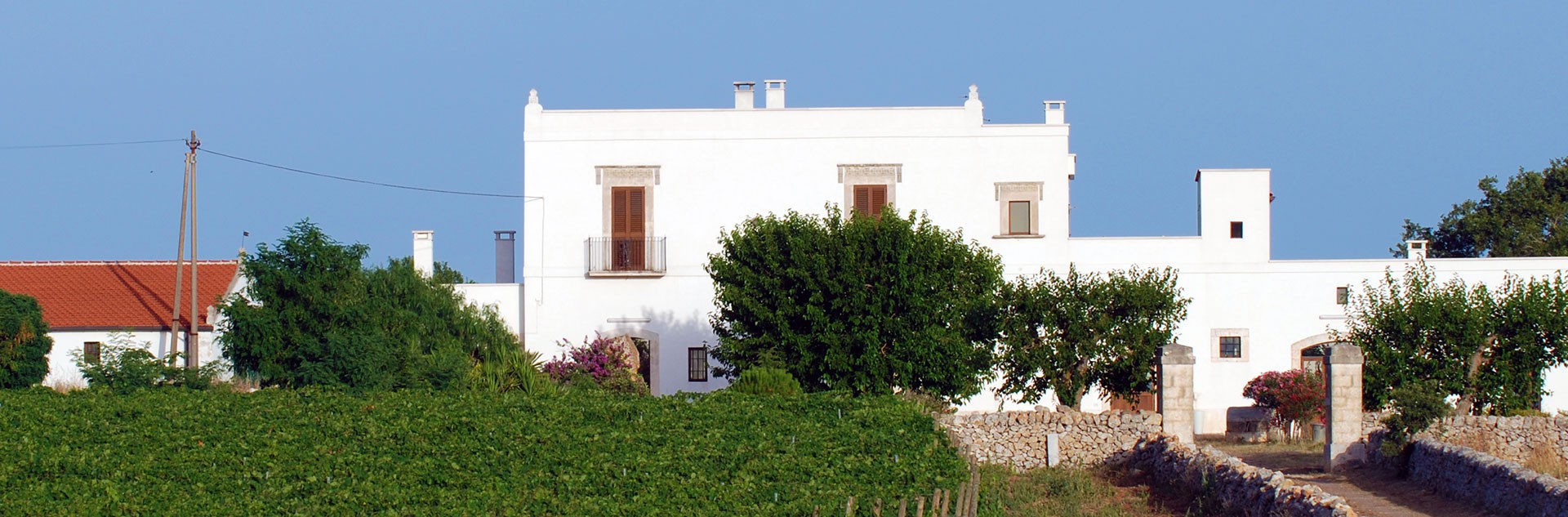 Tenuta Patruno Perniola Gioia del Colle